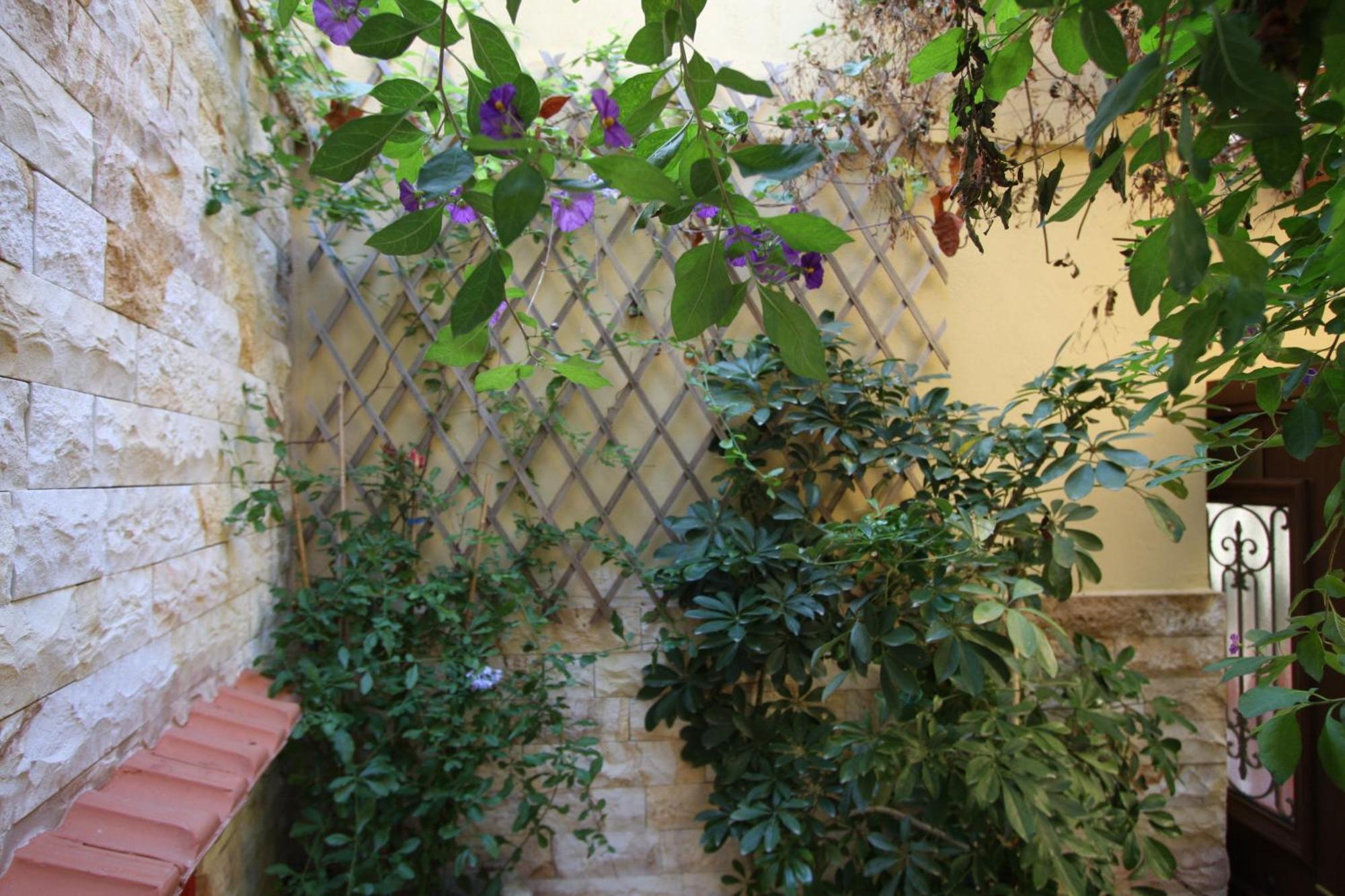 Sofia Pension Rhodes City Exterior photo